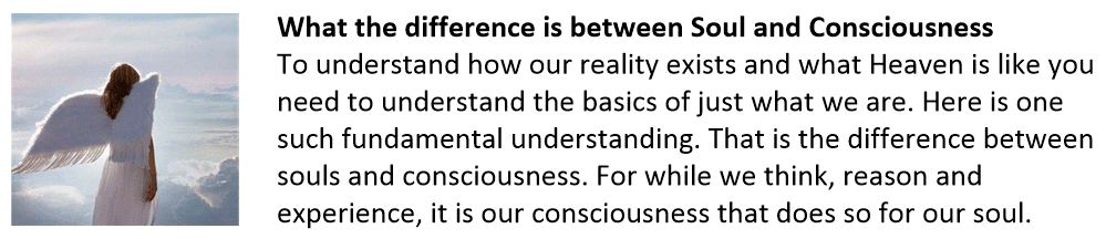 Soul is not consciousness.
