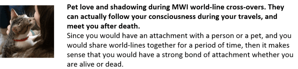 Pet love and shadowing during MWI world-line cross-overs. They can actually follow your consciousness during your travels, and meet you after death.
Since you would have an attachment with a person or a pet, and you would share world-lines together for a period of time, then it makes sense that you would have a strong bond of attachment whether you are alive or dead.